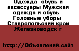 Одежда, обувь и аксессуары Мужская одежда и обувь - Головные уборы. Ставропольский край,Железноводск г.